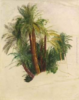 Studio di palme Studio di palme