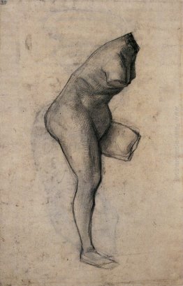 Venere Venere