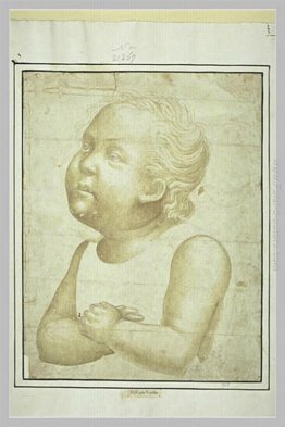 Bambino nudo, dalla metà del corpo, le braccia incrociate Bambino nudo, dalla metà del corpo, le braccia incrociate