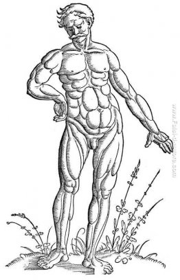 Muscle uomo in piedi Muscle uomo in piedi