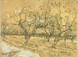 Frutteto con Fioritura Plum Alberi (The Orchard bianco) Frutteto con Fioritura Plum Alberi (The Orchard bianco)