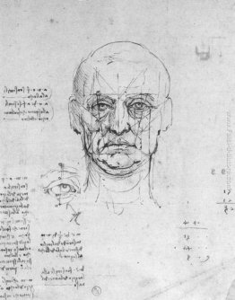 Studio sulle proporzioni della testa e degli occhi Studio sulle proporzioni della testa e degli occhi