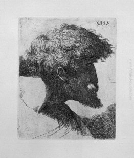 Vecchia testa del `s dell'uomo di profilo Vecchia testa del `s dell'uomo di profilo