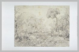 Paesaggio Paesaggio