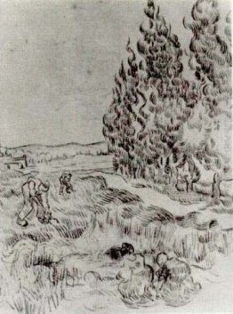 Cipressi con quattro persone che lavorano nel campo Cipressi con quattro persone che lavorano nel campo