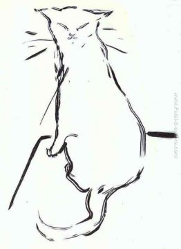 Il gatto Il gatto
