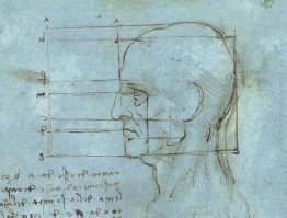 Le proporzioni della testa Le proporzioni della testa