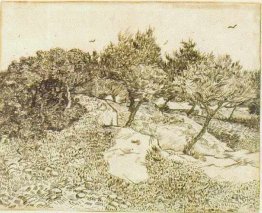 Gli ulivi Gli ulivi