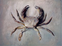 Velvet Crab Velvet Crab