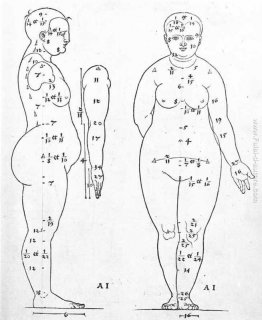 Laterale e frontale vista della testa femminile Laterale e frontale vista della testa femminile