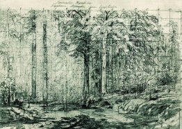 Mast Tree Grove Mast Tree Grove