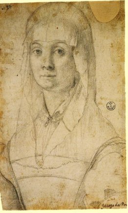 Studio di una donna, forse Maria Salviati Studio di una donna, forse Maria Salviati