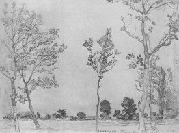 Alberi in Baran-Eli Alberi in Baran-Eli