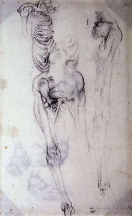 Studio anatomico Studio anatomico