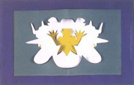 Recorte branco Recorte branco