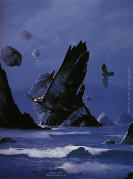 Schiuma di pietra Schiuma di pietra