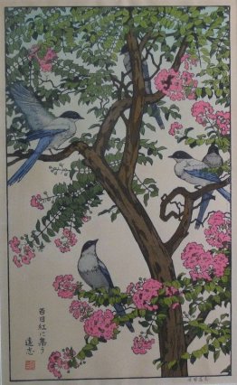 Birds of the Seasons - Estate Birds of the Seasons - Estate