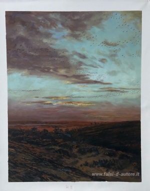 Sera migrazione degli uccelli