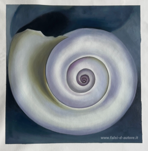 Shell No.