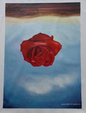 Rosa meditativa