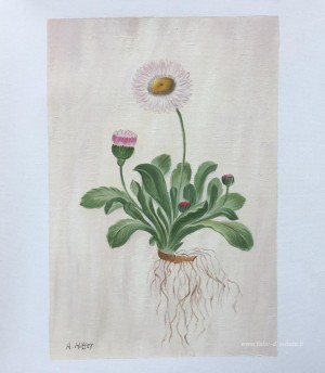 Dipinti personalizzati